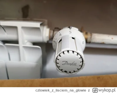 czlowiekzlisciemnaglowie - Ciepełko (⌐ ͡■ ͜ʖ ͡■)


#chwalesie #oswiadczenie #wygryw