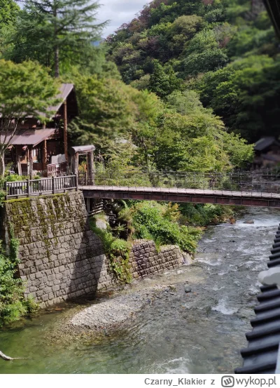 Czarny_Klakier - #dziendobry z #japonia

Zaraz idę drugi raz moczyć dupę w onsenie.