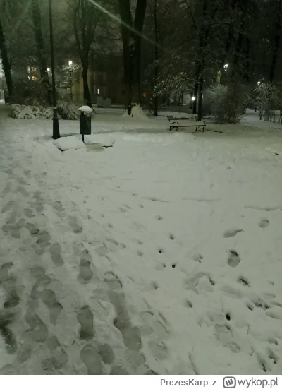 PrezesKarp - Teraz tylko poczekac aż delikatnie przymrozi i idziemy lepić bałwany (⌐ ...