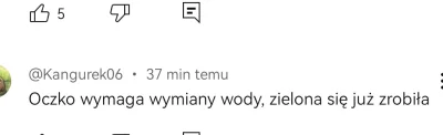 Vendigoo - #raportzpanstwasrodka Po kurach, czas na marny koniec konceptu oczka wodne...