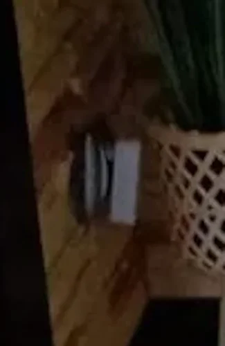 purrminator - @jmuhha: ciekawe jaki zapach w gnia... a nie, czekaj, co się stało temu...