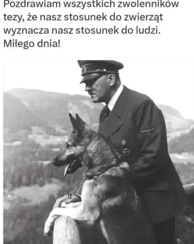 PIAN--A_A--KTYWNA - #psy #pies #ocieplaniewizerunkuadolfahitlera