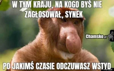 TomPo75 - Moj nowy ulubiony mem na polska scene polityczna...
Polacy teraz sobie na s...
