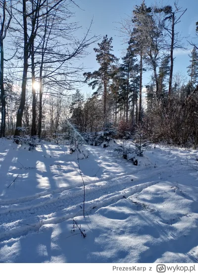 PrezesKarp - Zima na być krótka to trzeba korzystać.  #z-------------j #zima #gory al...