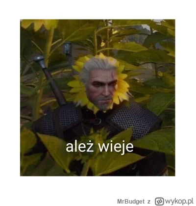 MrBudget - #slubodpierwszegowejrzenia