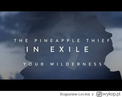 Boguslaw-Lecina - The Pineapple Thief - In Exile
#muzyka #rock #rockprogresywny