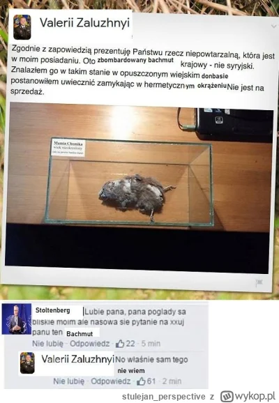 stulejan_perspective - #ukraina #rosja #wojna #heheszki