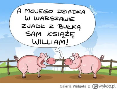 Galeria-Widgeta - Jak podaje: onet.pl:
Książę William w tajemnicy przyleciał do Polsk...