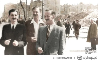 amperrowwer - @andbatros: W temacie żonkili niezmiennie polecam: