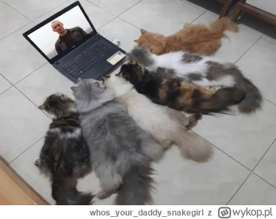 whosyourdaddysnakegirl - @wybryknatury

Cena saszety godna O/