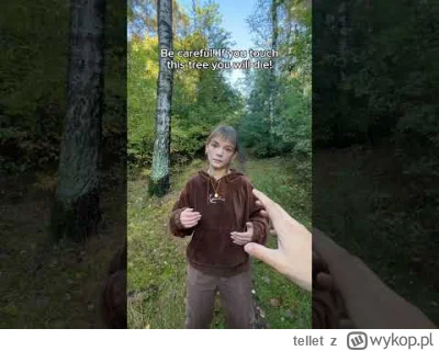 tellet - @Gymski: Odtwarzanie ułomności gry jako zaleta? To po co tworzyć remaka, sko...