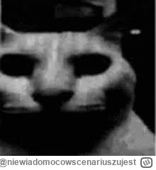 niewiadomocowscenariuszujest - @fuji 
Pierwsze miłości, pierwsze dziewczyny, pierwsze...