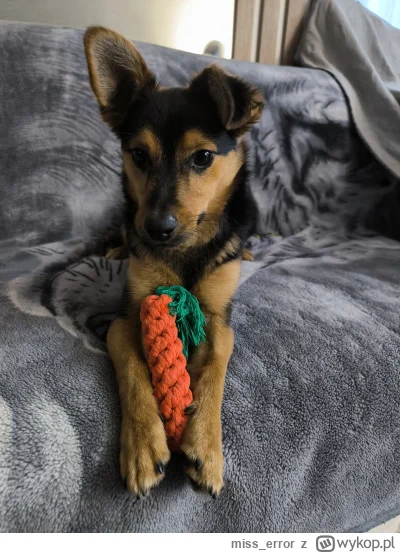 miss_error - @death070: wbijamy 300 i pozdrawiamy