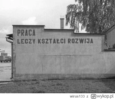 wirus133 - #pracbaza #przegryw