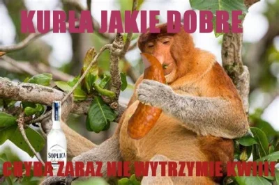 JackieCline - #konkursnanajbardziejgownianymemznosaczem