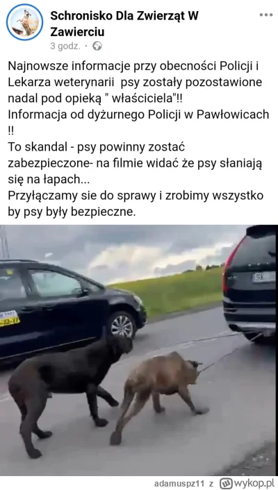 adamuspz11 - Co za kraj