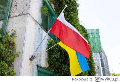 Pokojowa - Polska wyda Ukraińcom dokumenty podróży, jeśli ich paszporty straciły ważn...