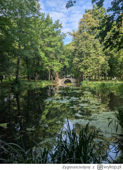 ZygmuntJedyny - Staw w ogrodzie zamkowym. #suchabeskidzka #polska #mojezdjecie #dzien...