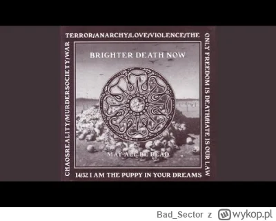 Bad_Sector - @basicname0: Brighter Death Now na przykład.