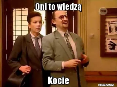 wujek_mikazjusz - @trevoz: pozwolę sobie zacytować ;)