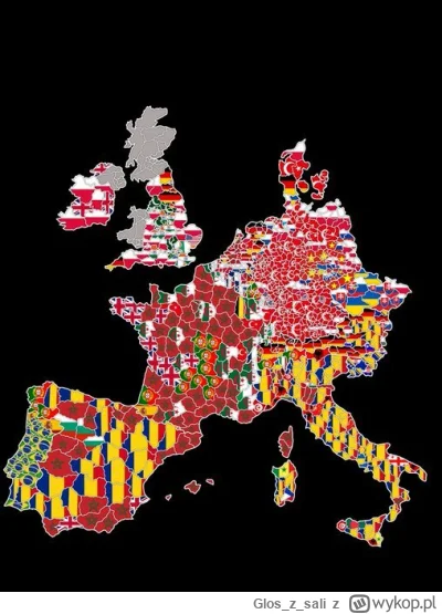 Gloszsali - Mapka pokazująca najliczniejsze mniejszości w poszczególnych regionach Eu...