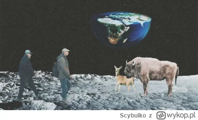 Scybulko - Tam jest spaniały świat 

#kononowicz #patostreamy