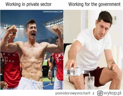 pomidorowymichal1 - #mecz