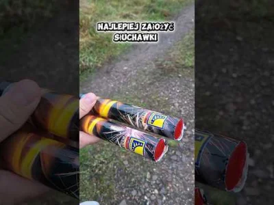 TakaJestPrawada - Chłopaki po prostu poszli se postrzelać z fajerwerków. A zrobiła si...