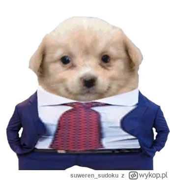 suweren_sudoku - Opinie o kupowaniu Wittchen obecnie? Spadł 10%. 

Mimo lekko rozczar...