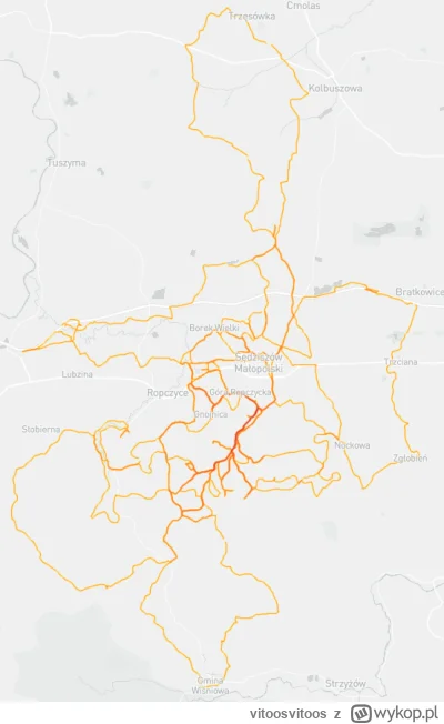 vitoosvitoos - heatmap 2025