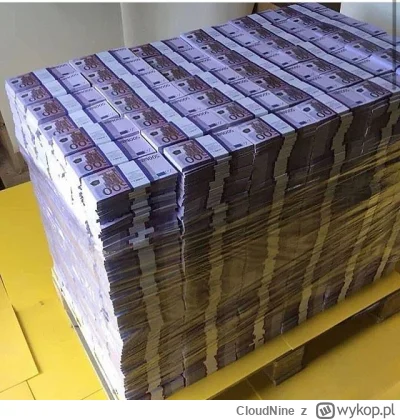 CloudNine - Ciekawe jakie to uczucie mieć  taką palete euro na chacie
#przegryw