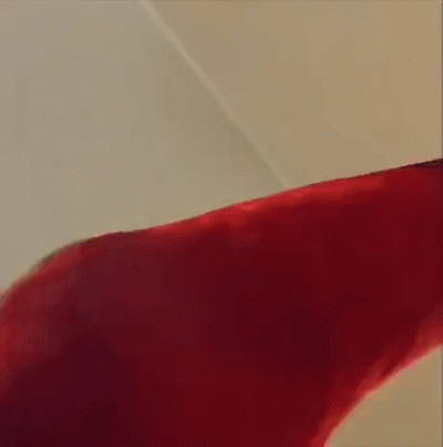 wfyokyga - Hmmm a komu dzisiej z-----c w cymbał~pomyślał papug