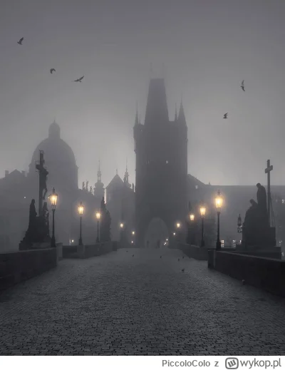 PiccoloColo - Praga > Bytom