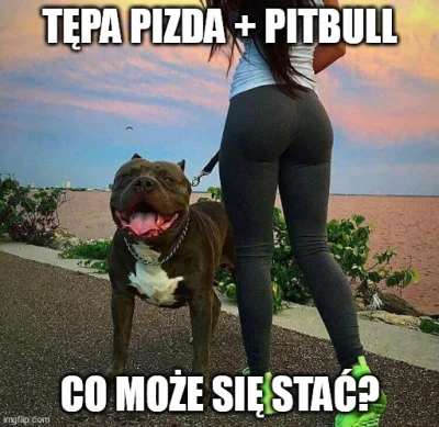 zjadam-przylepki - Czy tylko ja mam dosyć tej patologi? #psy #pitbull #polska #policj...