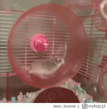 Iwan_Szatow - #xtb #gielda