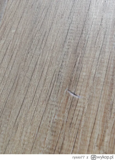 rysio77 - @Soothsayer  @bb89  @ZdeformowanyKreciRyj  @selenita66