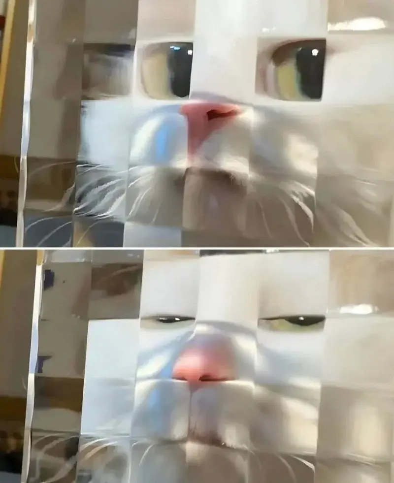 daniel-darcio - @Misaka: