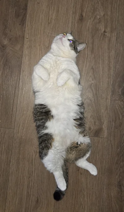 Solsith - @nairoht: Pytacie ‘czemu bogowie nas opuścili?’ Musimy wrócić na drogę, któ...