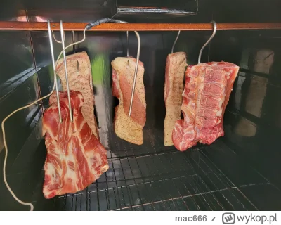 mac666 - Trzeba coś niecoś uwędzić, żeby do żurku było. Czas start.

#gotujzwykopem #...