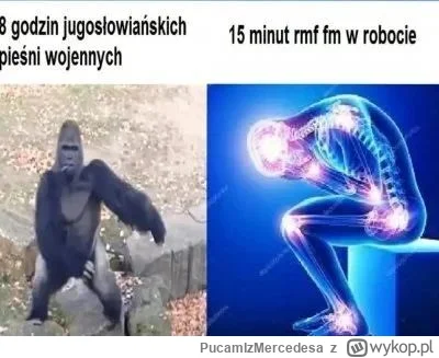 PucamIzMercedesa - #klasykiniepoprawnejmuzyki