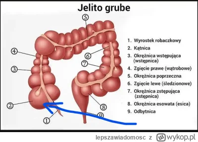 lepszawiadomosc - @Infidelski: czyli tutaj dotrze