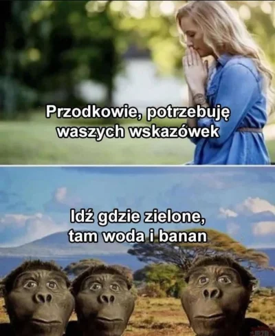 AXSIS - #humorobrazkowy #heheszki