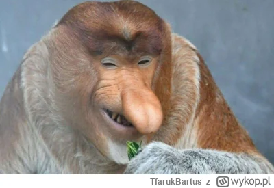 TfarukBartus - Wiecie że już nie są razem? (Odpowiedź poniżej)
.
.
.
.
.
.
.
.
.
.
.
...