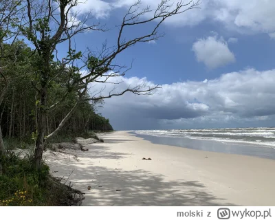 molski - @Duszeczek: kitku akurat uchwyciłem parę kilometrów od plaży więc na jednym ...