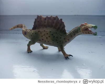 Nessiteras_rhombopteryx - Patrzcie jakiego scientifically accurate spinozaura kupiłem...