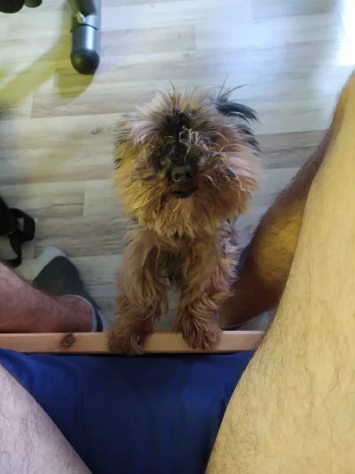 Unborn_Scream - #przegryw mój przyjaciel odszedł już ponad dwa lata temu i dalej mi s...