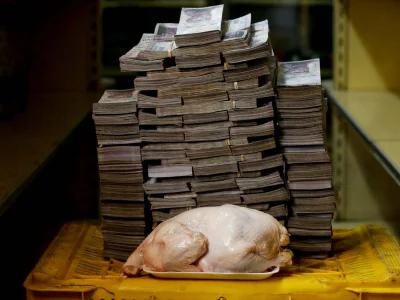 dr_gorasul - @awres: tyle będzie kosztował kurczak za Kaczafiego włącznie z inflacją ...
