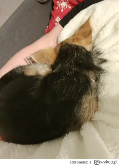 adisoniusz - Leży sobie kuleczka