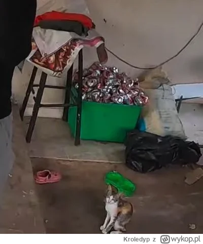 Kroledyp - @FSO_Jakub: tak wyglądał jego poprzedni gołębnik