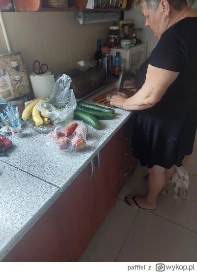 pafffel - kotlety z indyka też się robią